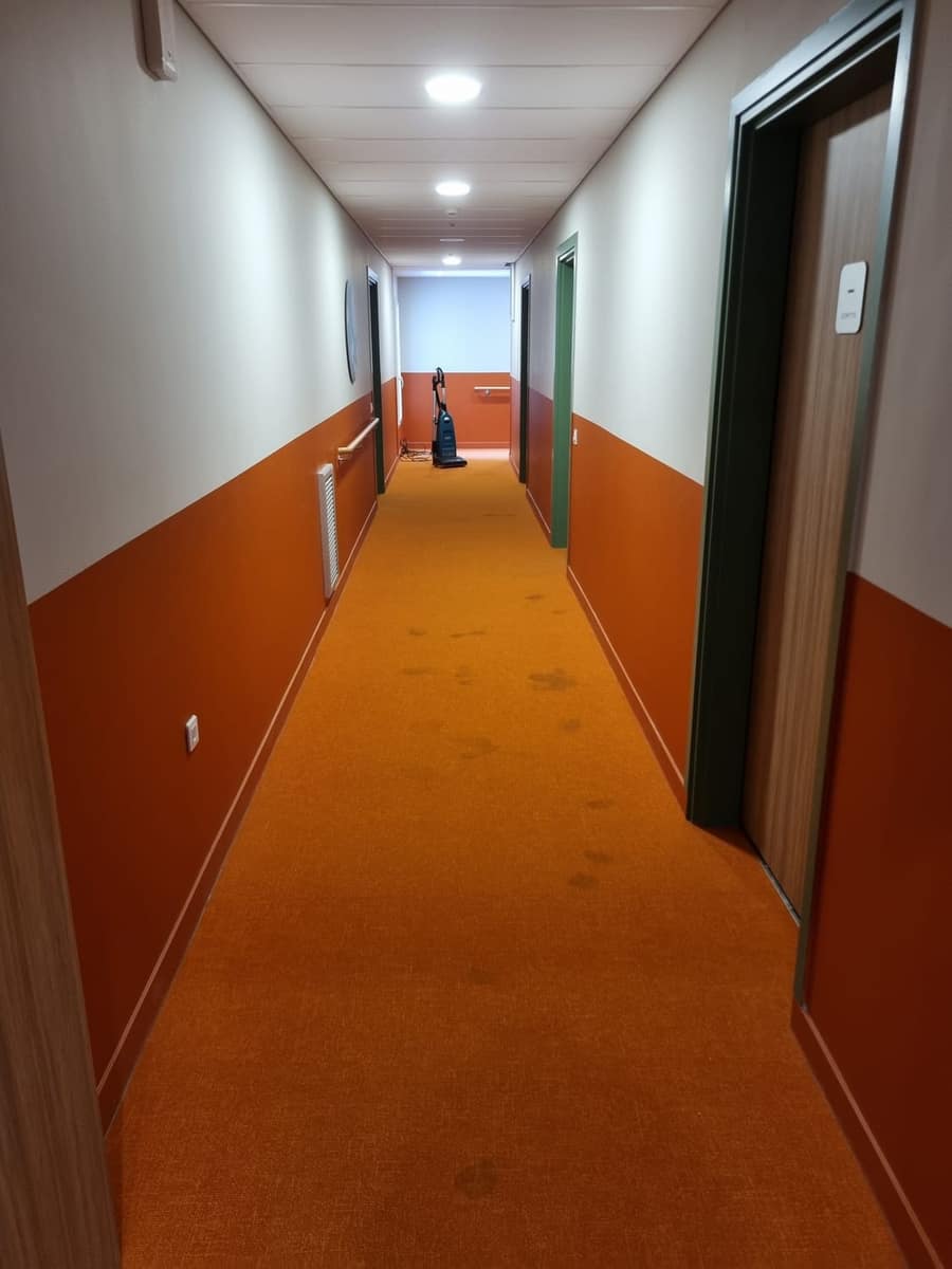 Moquette tachée avant shampoing