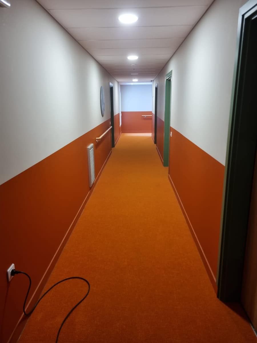 Moquette ravivée après shampoing